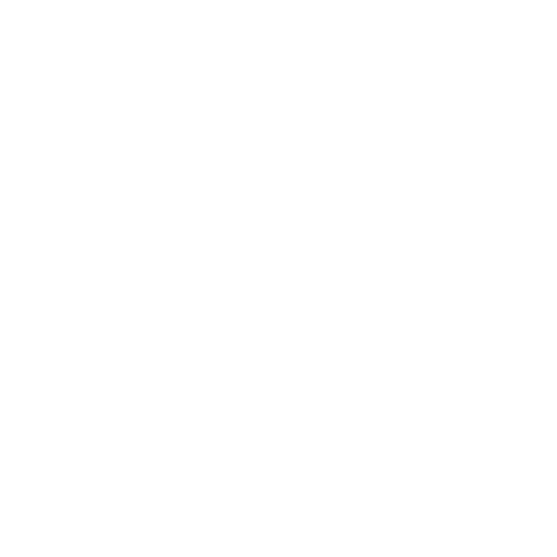 Technology Leader