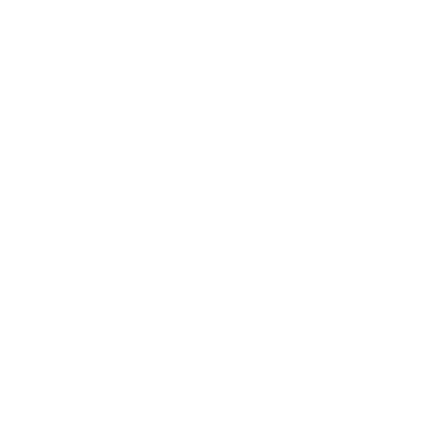 Community Supporter
